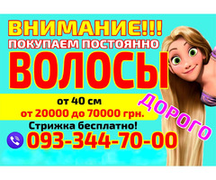 Куплю волосся в Маріуполі Покупка волосся Дорого | ogoloshennya.com.ua - 1
