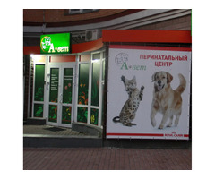 Ветеринарна клініка А-вет | ogoloshennya.com.ua - 1