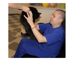 Ветеринарна клініка А-вет | ogoloshennya.com.ua - 4