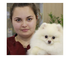 Ветеринарна клініка А-вет | ogoloshennya.com.ua - 5