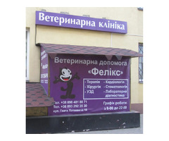 Ветеринарна клініка Фелікс | ogoloshennya.com.ua - 2
