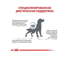 Royal Canin HYPOALLERGENIC для собак при харчовій алергії | ogoloshennya.com.ua - 3