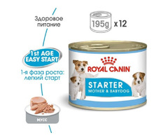 Royal Canin STARTER MOUSSE для годуючих сук і цуценят 195 г | ogoloshennya.com.ua - 2