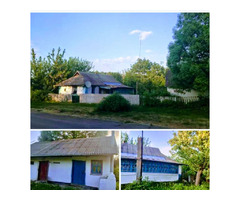 Продається будинок | ogoloshennya.com.ua - 1