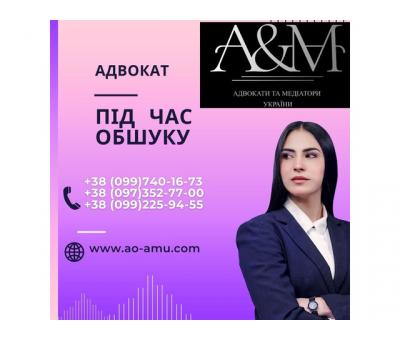 Адвокат під час обшуку