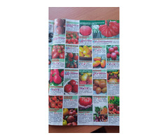Безкоштовний каталог насіння овочів насіння та квітів | ogoloshennya.com.ua - 5