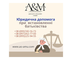 Юридична допомога при встановленні батьківства | ogoloshennya.com.ua - 1