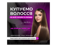 Купуємо волосся дорого | ogoloshennya.com.ua - 1