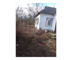 Продається будинок в селі Осовець, Чернігівська область | ogoloshennya.com.ua - 1