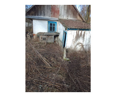 Продається будинок в селі Осовець, Чернігівська область | ogoloshennya.com.ua - 5