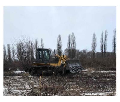 Послуги з корчування садів, дерев, пеньків та чагарників