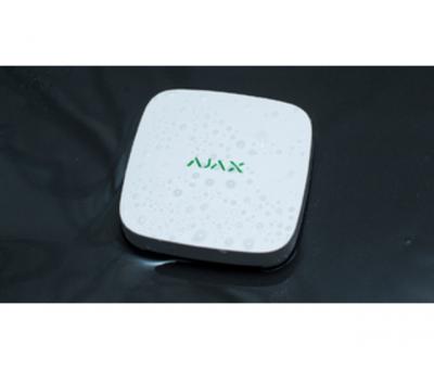 Ajax LeaksProtect