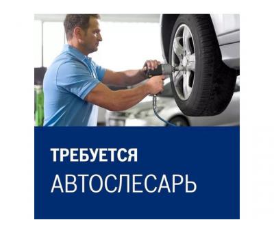 Автослесарь на дизельное СТО в г. Днепр