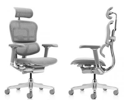Кресло компьютерное Ergohuman Luxury 2 Grey