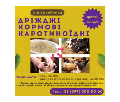 Кормові дріжджі – білково-вітамінна добавка від виробника по Україні та на експорт.