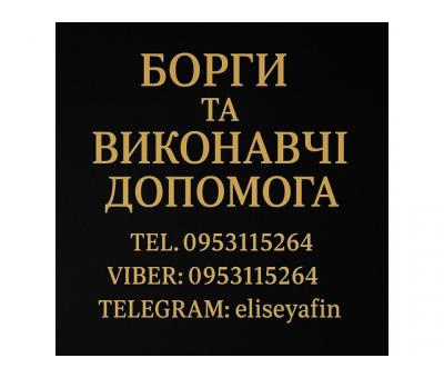 Борги та Виконавчі. Допомога
