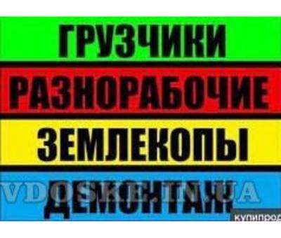 Разнорабочие грузчики подсобники землекопы Одеса 