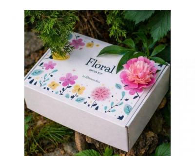 Квітучі подарункові набори на 8 березня. EcoBloom
