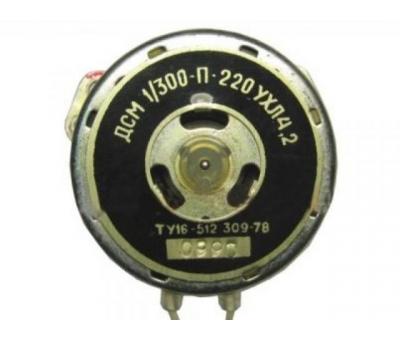 Двигун ДСМ-1/300-П-220 УХЛ4.2, електродвигун ДСМ-1-300-П-220