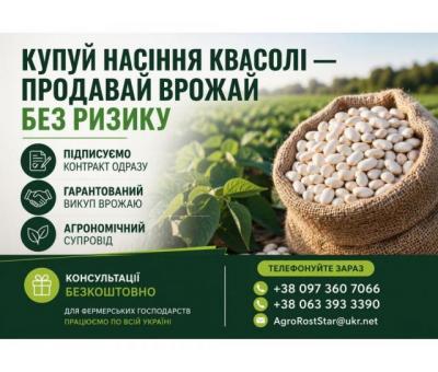 Насіння квасолі на продаж. Гарантія викупу врожаю