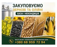 Закуповуємо сільськогосподарські культури (база та некондиція)