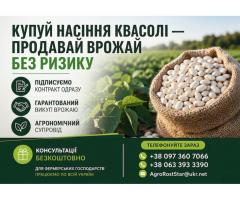 Насіння квасолі білої з гарантією викупу врожаю