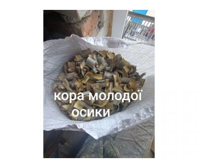 Кора молодої осики 