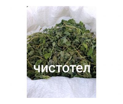 Чистотел 