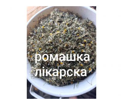 Ромашка лікарська 