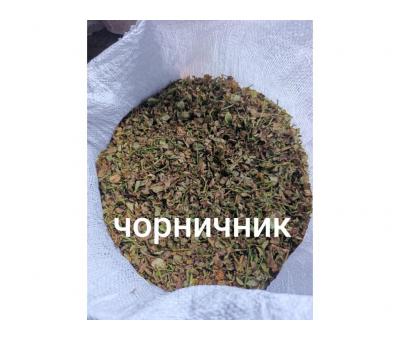 Чорниця листя 