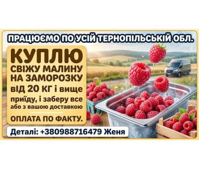 КУПЛЮ МАЛИНИ ДУЖЕ ДОРОГО ТЕРНОПІЛЬ!!!