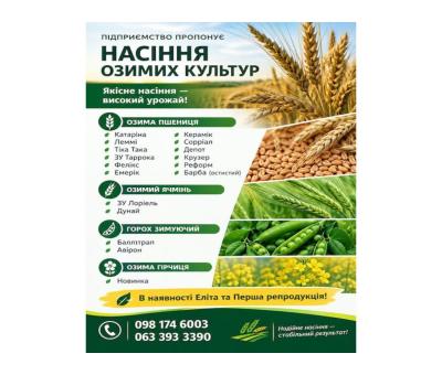 Насіння озимих культур. Еліта та 1-ша репродукція!