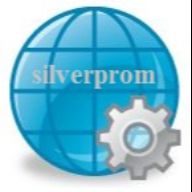 silverprom